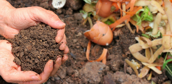 Kompost im eigenen Garten anlegen  © melGreenFR - pixabay