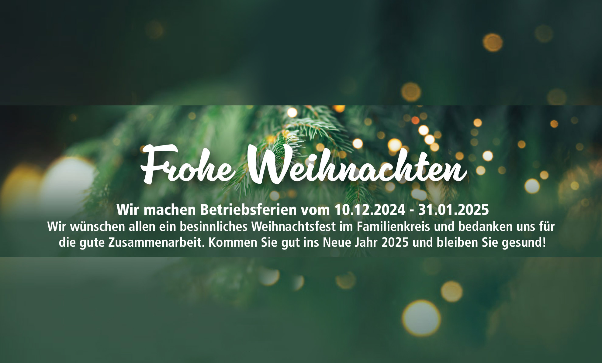  RollrasenVerbund.de Premium Rollrasen günstig kaufen