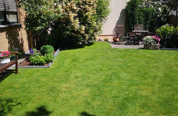 Gartenimpressionen RollrasenVerbund.de Premium Rollrasen günstig