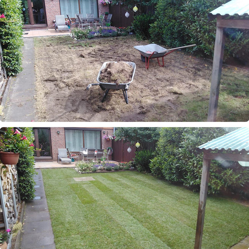 Gartenimpressionen RollrasenVerbund.de Premium Rollrasen günstig