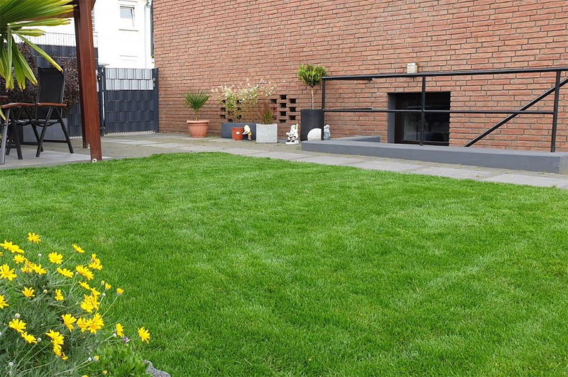 Gartenimpressionen RollrasenVerbund.de Premium Rollrasen günstig