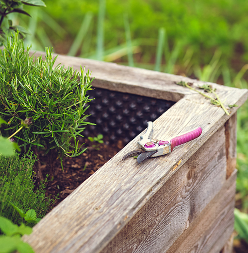 Ein Hochbeet hat Vor- und Nachteile - © Markus Spiske - unsplash Ein Hochbeet hat Vor- und Nachteile - © Markus Spiske - unsplash