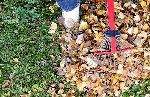Das Laub kann im Garten noch nützlich sein. © pixabay