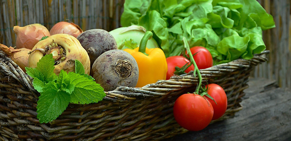 Eigener Gemüsegarten  © congerdesign - pixbay