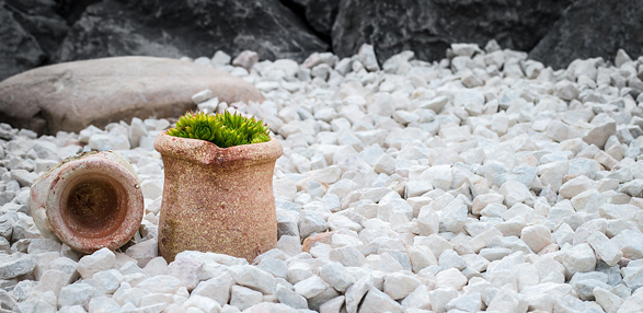 Stein und Schotter verändern die Gartenlandschaft - Thomas B - pixabay