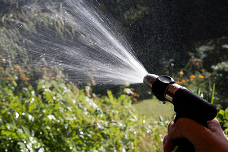 Im Sommer braucht Ihr Garten viel Wasser.<br> © pixabay