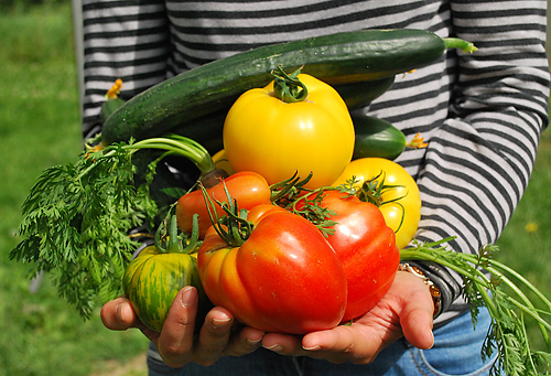 Welches Gemüse soll man anbauen © jf-gabnor - pixabay